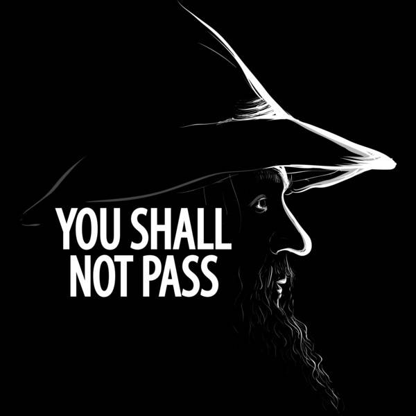 gandalf the grey you shall not pass